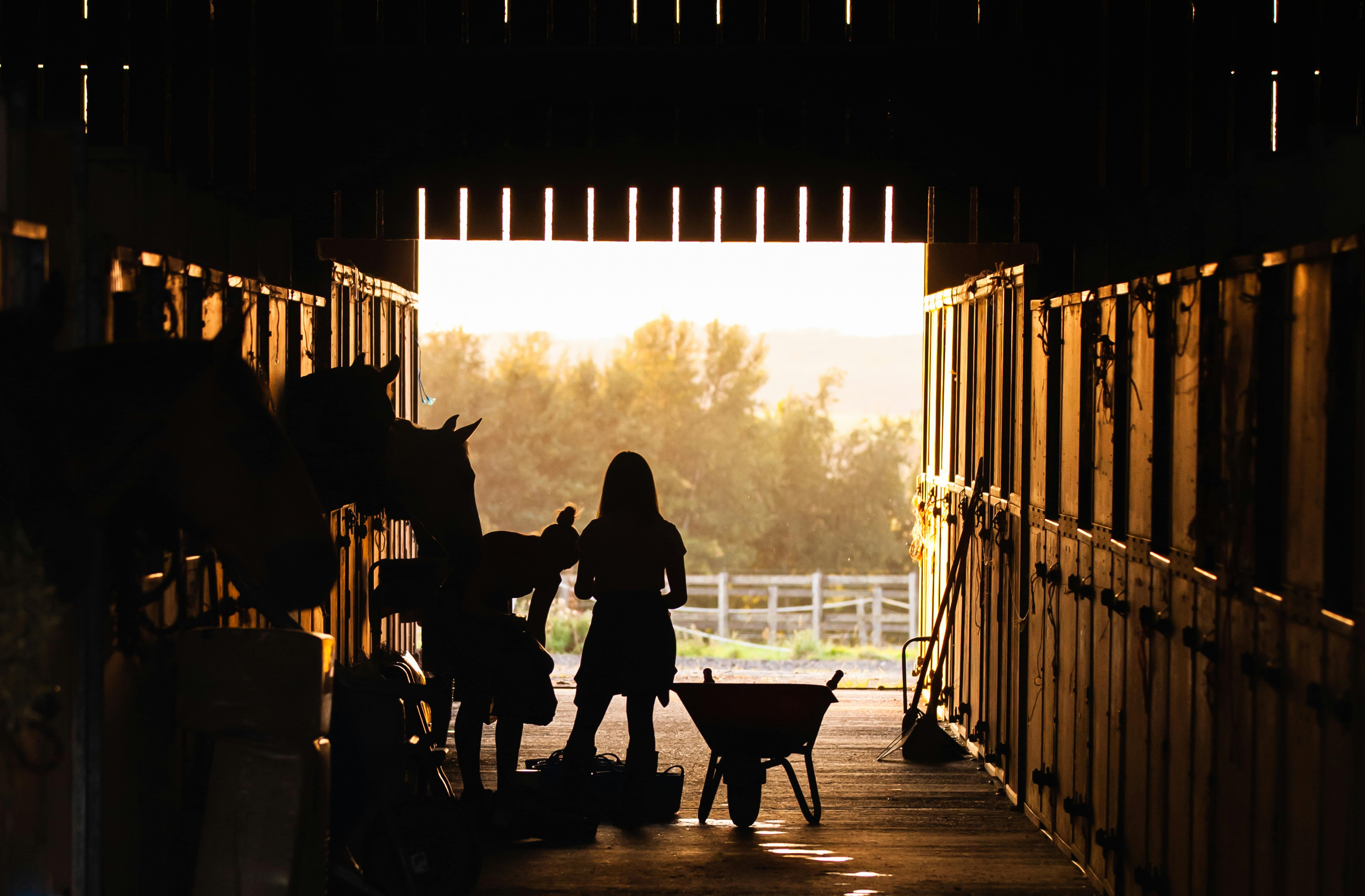 Farm and Ranch